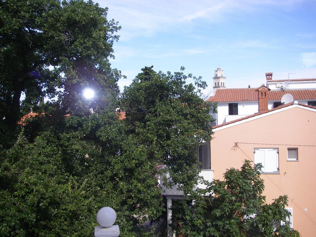Apartments Premantura Oda fotoğraf